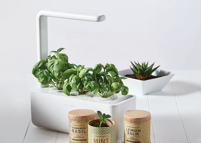Home herb kit and grow light