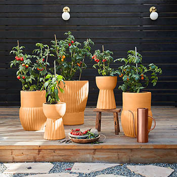 Crate and Barrel Terracotta Planters