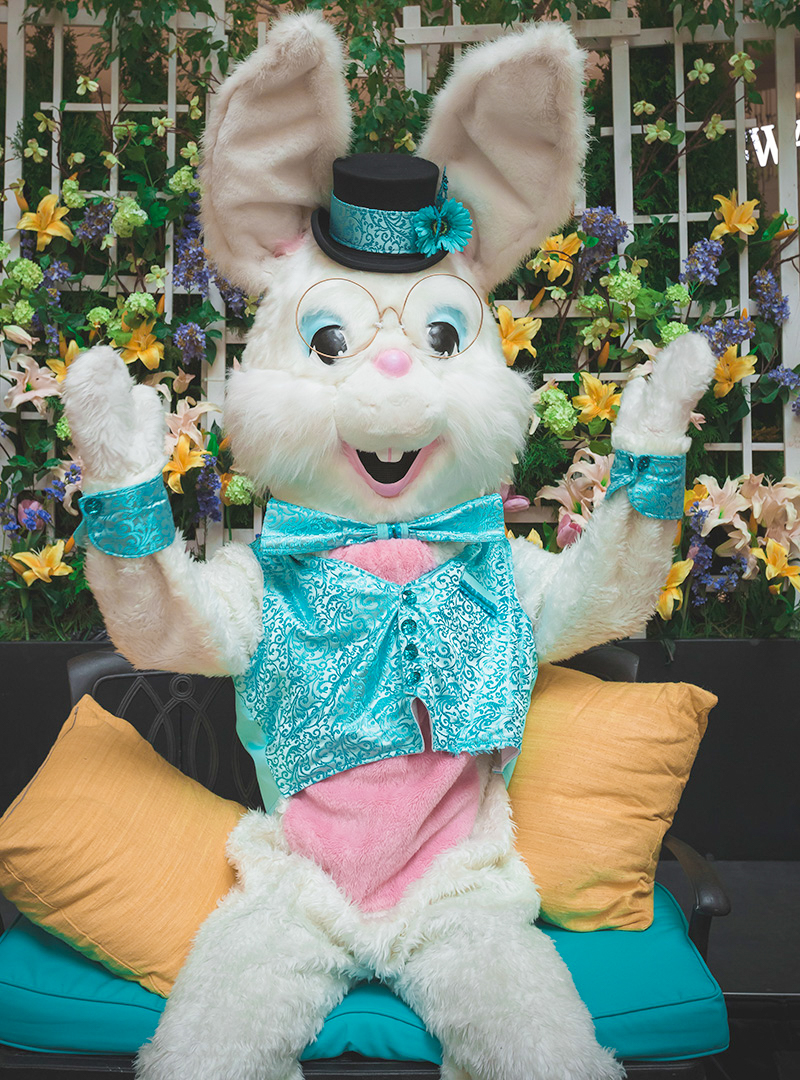 Easter Bunny Photos at Bellevue Square
