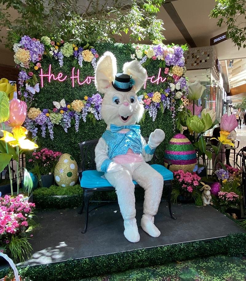 Easter Bunny Photos at Bellevue Square