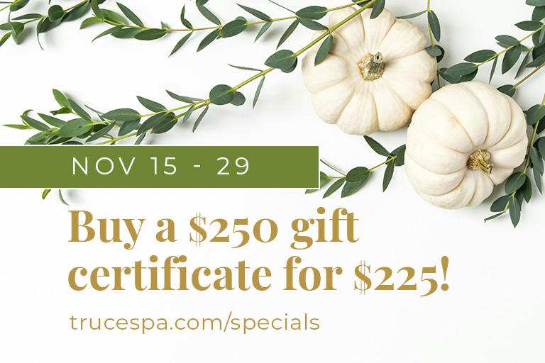 Now's the time to give the gift of relaxation! From 11/15 - 11/29, purchase a $250 gift certificate for just $225.