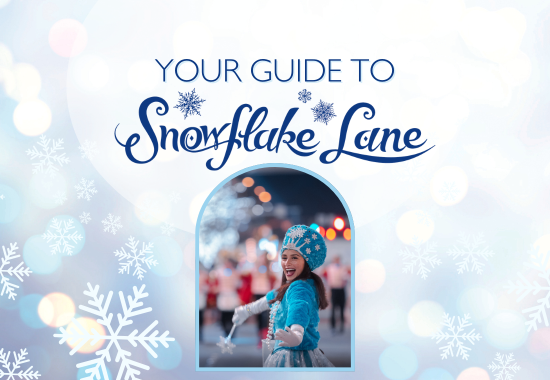 Your Guide to Snowflake Lane