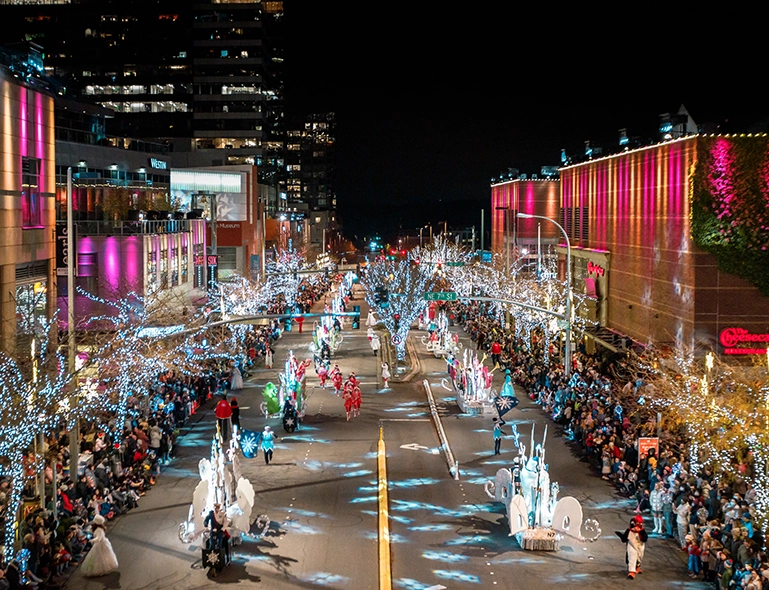 Snowflake Lane Street